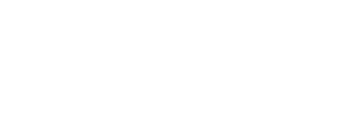 pieles de calidad