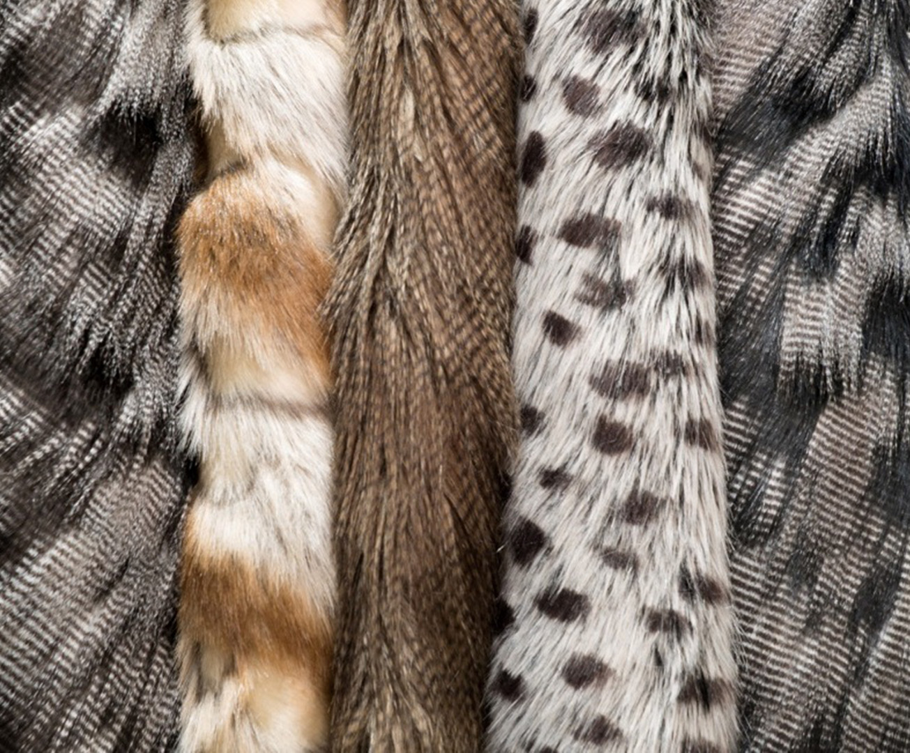 Faux Fur