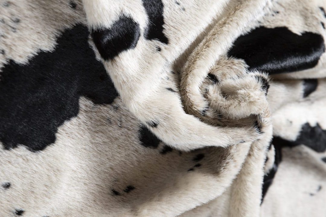 Vaca